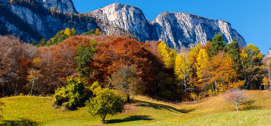 I prati del Buchwald sopra casa mia...come non amare l'Alto Adige ?