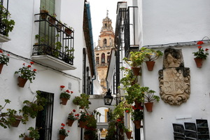 Cordoba