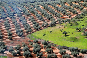 Baños de la Encina