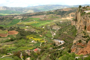 Ronda
