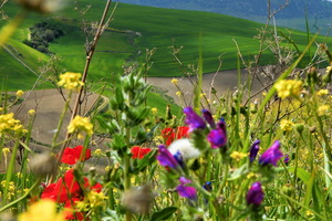 Ruta de pueblos blancos