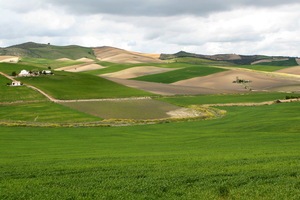 Ruta de pueblos blancos