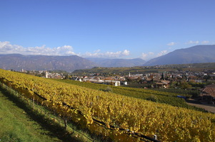 Autunno ad Appiano -  San Michele