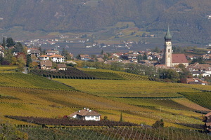 Autunno ad Appiano - San Paolo