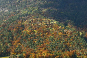 Autunno ad Appiano