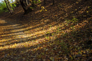 Autunno ad Appiano