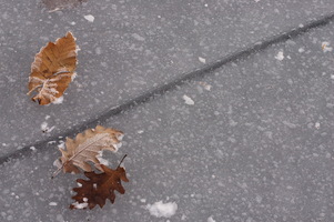 Inverno
