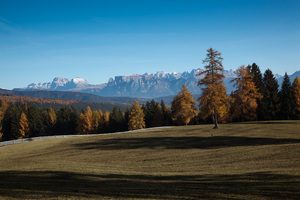 Dolomiti
