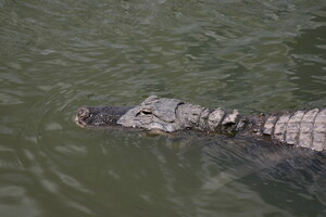 Florida