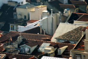 Gabbiano in volo su Lisbona