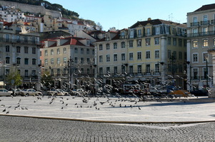 Praça Figueira