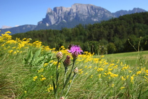 Longostagno, Altipiano del Renon