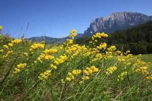Longostagno, Altipiano del Renon
