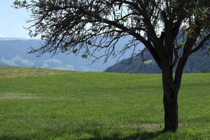Longostagno, Altipiano del Renon