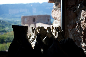 Particolare