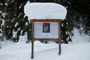 Snow Cap 2