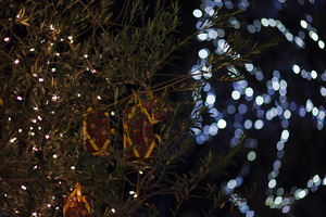 Mercatino di Natale di Bolzano