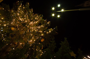 Mercatino di Natale di Bolzano