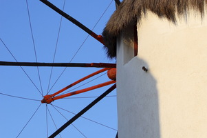 Mykonos - Chora - I mulini