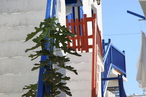 Mykonos - Chora