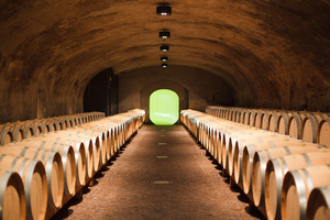 Cantina St. Michele - Appiano