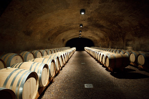 Cantina St. MIchele - Appiano