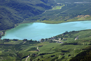 Monte Penegal