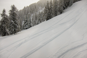 Powder Birthday