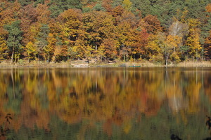 Monticolo - Riflessi d'autunno