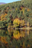 Monticolo - Riflessi d'autunno
