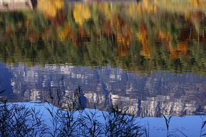 Monticolo - Riflessi d'autunno