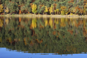 Monticolo - Riflessi d'autunno