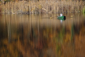 Monticolo - Riflessi d'autunno