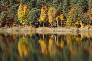 Monticolo - Riflessi d'autunno