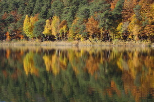 Monticolo - Riflessi d'autunno