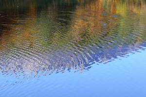 Monticolo - Riflessi d'autunno