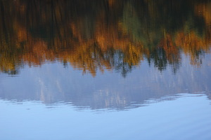 Monticolo - Riflessi d'autunno