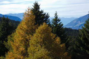 Autunno a San Vigilio