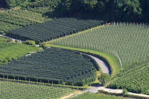 Vigne e Meli dall'alto