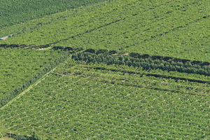 Vigne e Meli dall'alto