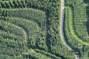 Vigne e Meli dall'alto