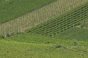 Vigne e Meli dall'alto