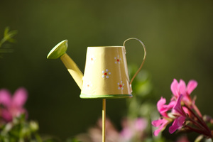 Test Bokeh