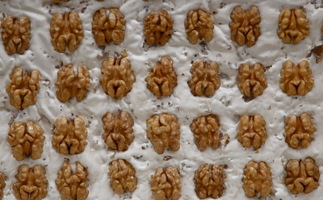 Castagne e Torroni