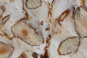 Festa del Torrone di Cremona