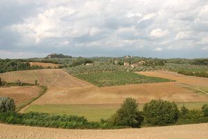 Chianti