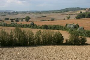 Chianti