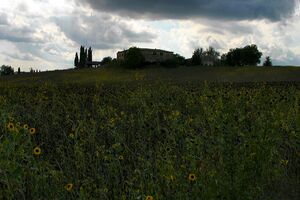 Chianti