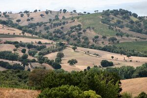Maremma