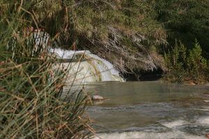 Saturnia